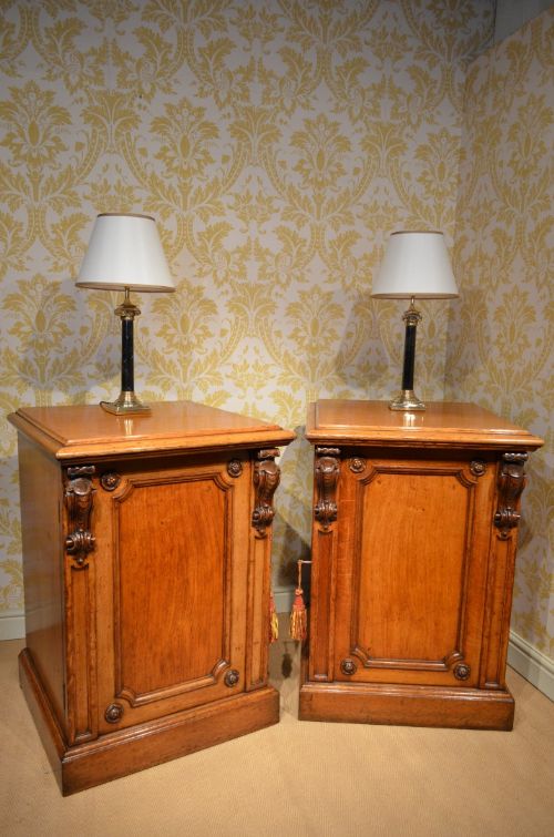 Pair of 19th Century Oak Bedside Cabinets/cupboards