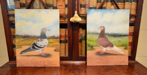 Stunning Pair Early 20th Century Paintings of Racing Pigeons by C H Wadsworth 1911