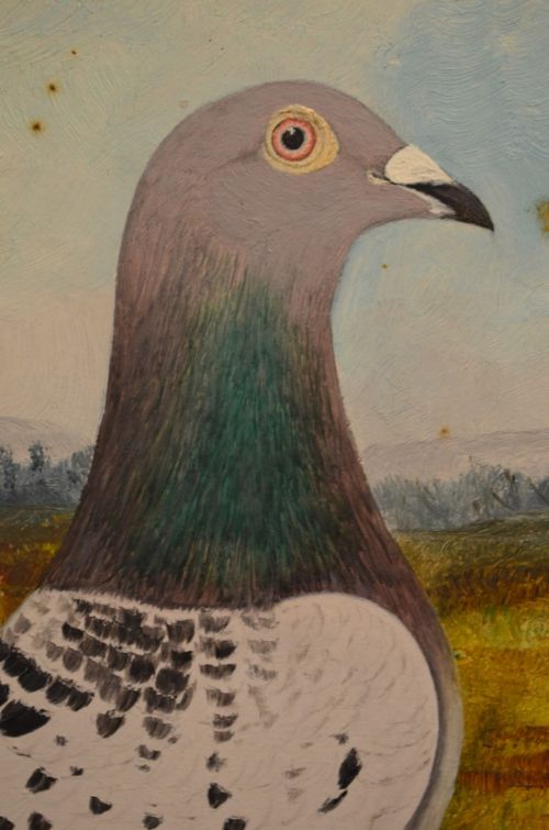 fig 1. Stunning Pair Early 20th Century Paintings of Racing Pigeons by C H Wadsworth 1911