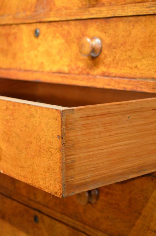 WONDERFUL EARLY 19TH CENTURY POLLARD OAK SECRETAIRE CHEST WITH FABULOUS COLOUR - ADDITIONAL PHOTO 8