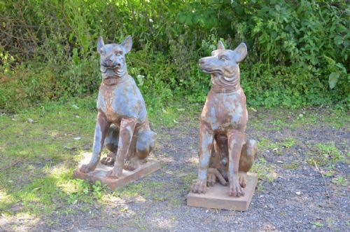 Fabulous 19th Century Pair of  Life Size Cast Iron Dogs. Decorative and Unsual