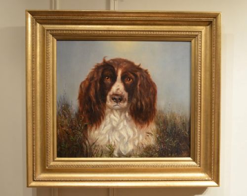 Superb 19th Century Oil on Canvas of Spaniel Signed M H Shaw