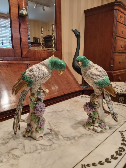 Beautiful Pair of Decorative Parrots