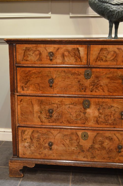 fig 2. Oxfordshire Walnut and Oak Chest Of Drawers