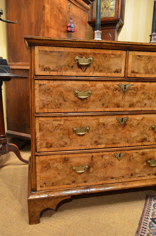 fig 2. A Beautiful Small 18th Century Walnut Chest Of Drawers
