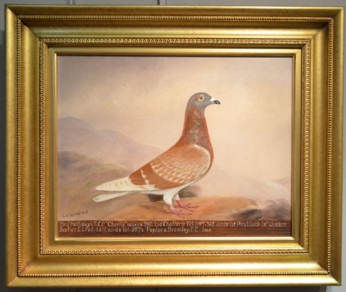 E H Windred - Pigeon Oil Painting