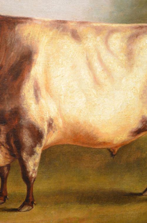 WILLIAM HENRY DAVIS 17861865 A PRIZE BULL STANDING IN A LANDSCAPE - ADDITIONAL PHOTO 3