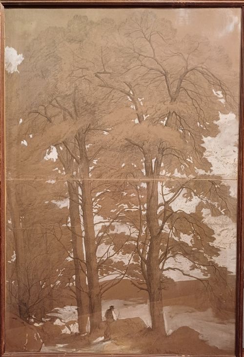 fig 2. Pencil Drawings on Buff Paper by Edward Lear