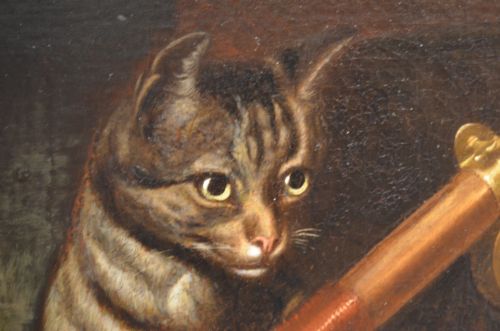 BEAUTIFUL 19THC OIL ON CANVAS OF CAT WITH FISH ATTRIBUTED TO HORATIO HENRY COULDERY - ADDITIONAL PHOTO 11