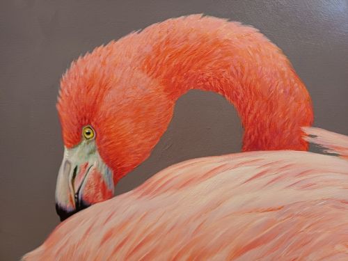 fig 2. A wide panoramic oil painting on board depicting five pink flamingos in detailed poses against a grey background, encased in a black and gilt wooden frame.