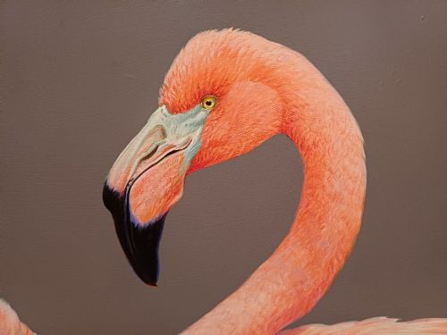 fig 5. A wide panoramic oil painting on board depicting five pink flamingos in detailed poses against a grey background, encased in a black and gilt wooden frame.