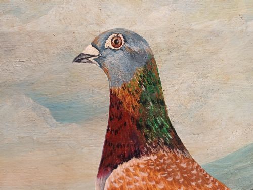fig 1. A framed oil painting on canvas depicting a red chequer racing pigeon in profile against a countryside landscape with handwritten race inscriptions.