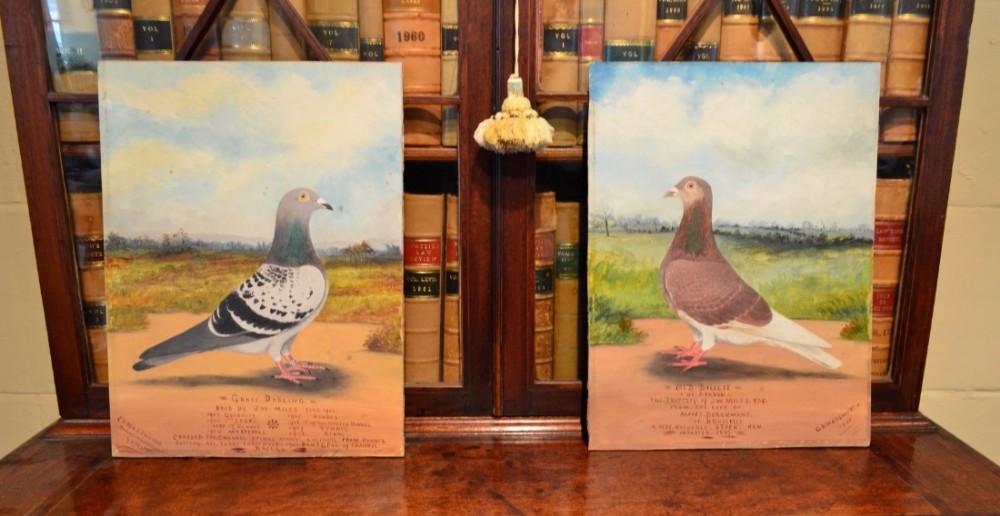 Stunning Pair Early 20th Century Paintings of Racing Pigeons by C H Wadsworth 1911