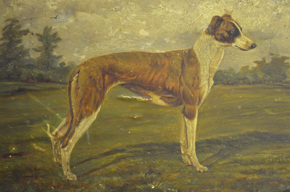 FABULOUS 19TH CENTURY OIL ON BOARD OF A GREYHOUND View II