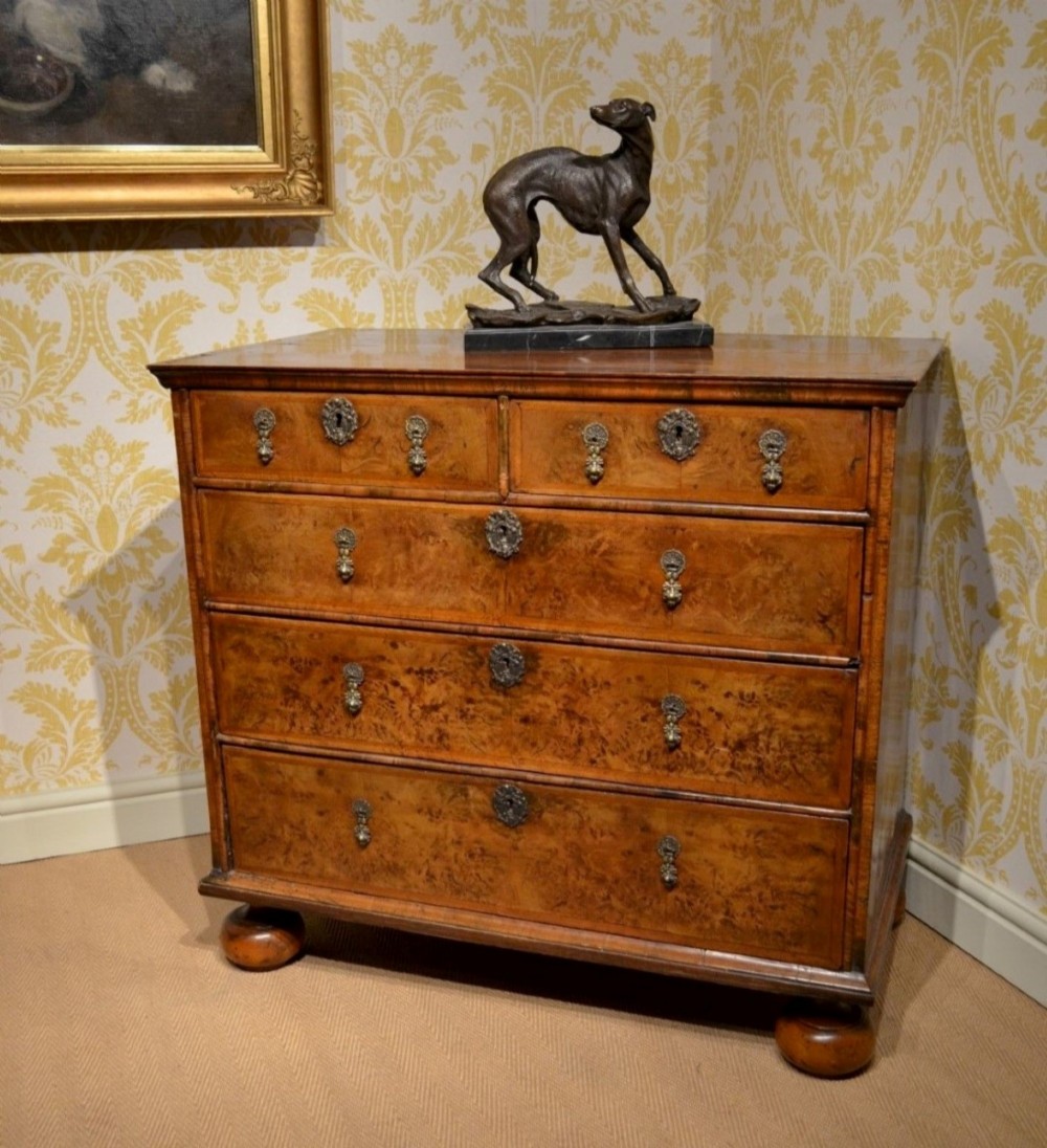Superb 18th Century burr walnut Chest of lovely proportions and great colour