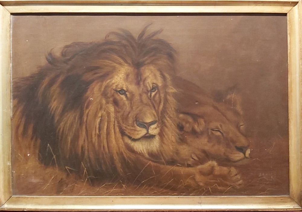 Early 20th Century study of a resting lion, and lioness. Signed J Leach. 