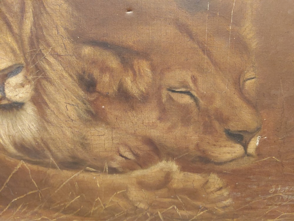 Early 20th Century study of a resting lion, and lioness. Signed J Leach.  View III
