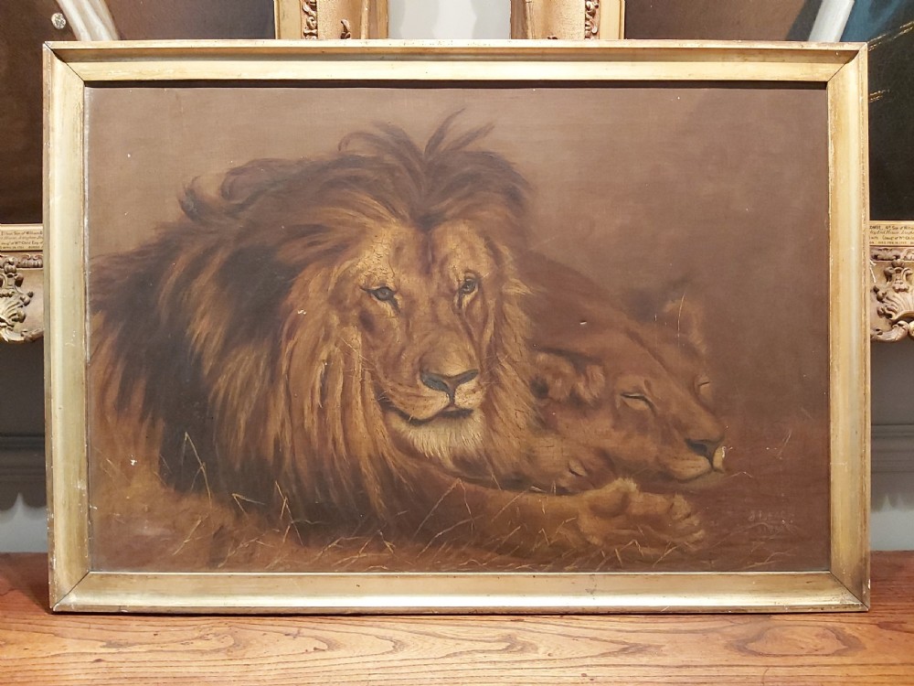 Early 20th Century study of a resting lion, and lioness. Signed J Leach.  View V