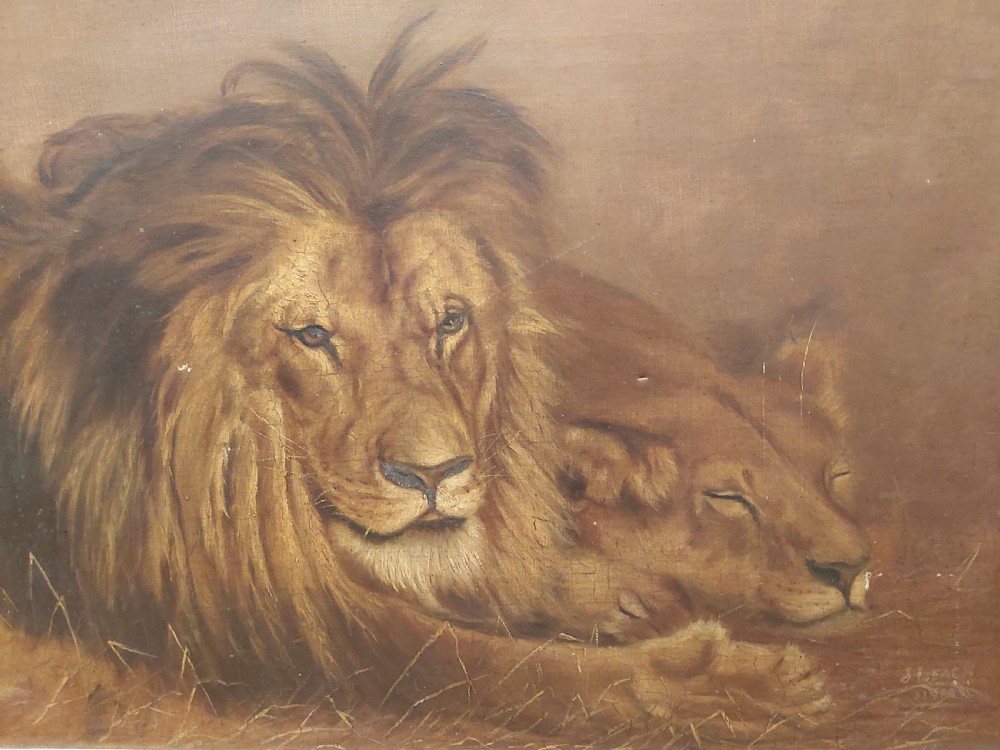 Early 20th Century study of a resting lion, and lioness. Signed J Leach.  View VI