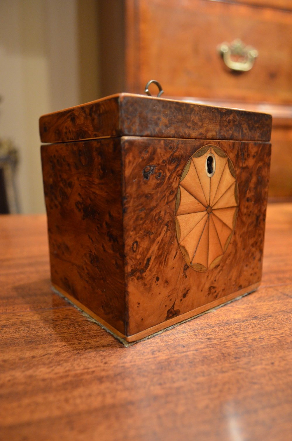 Burr Yew Wood Tea Caddy.