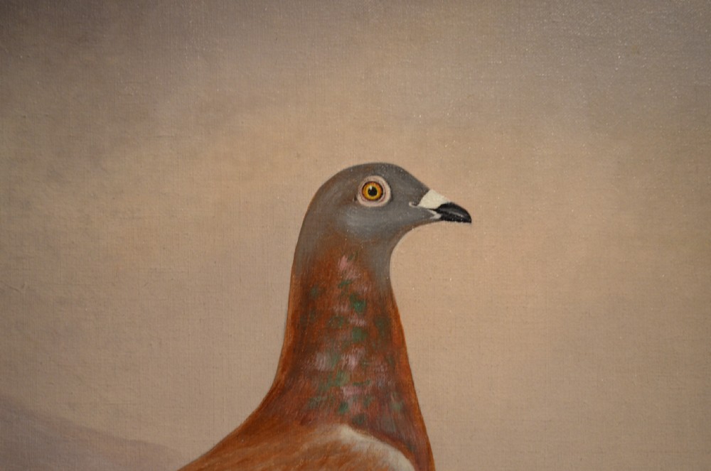 E H Windred - Pigeon Oil Painting View II