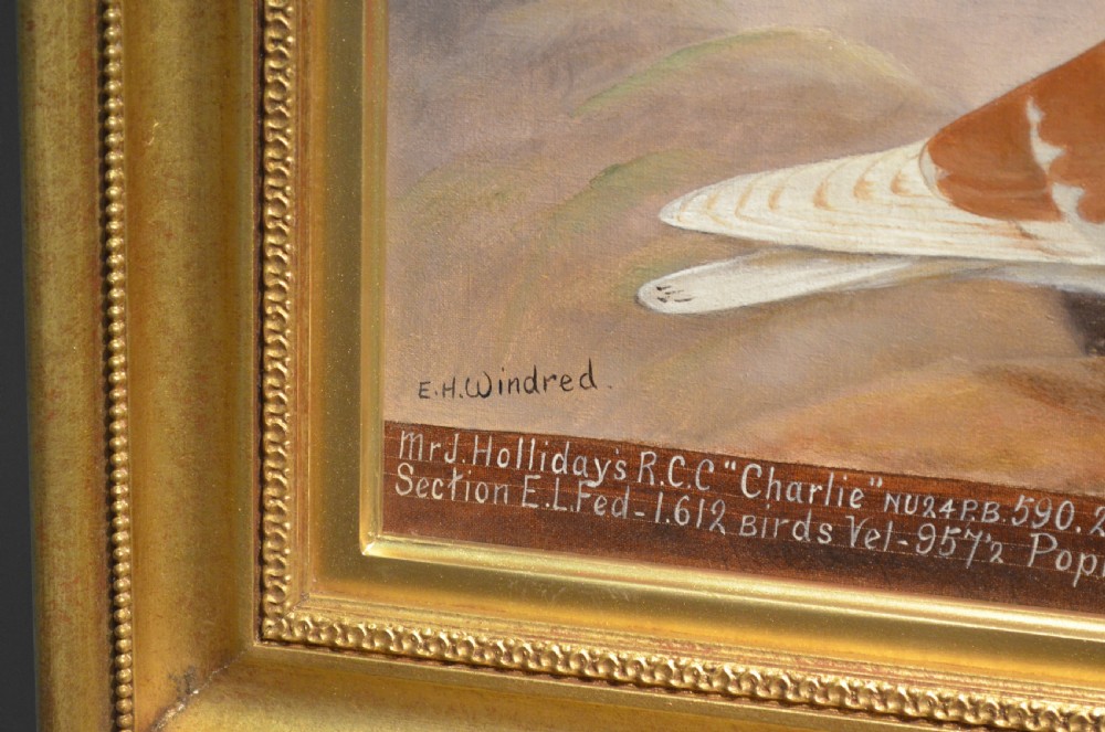 E H Windred - Pigeon Oil Painting View III