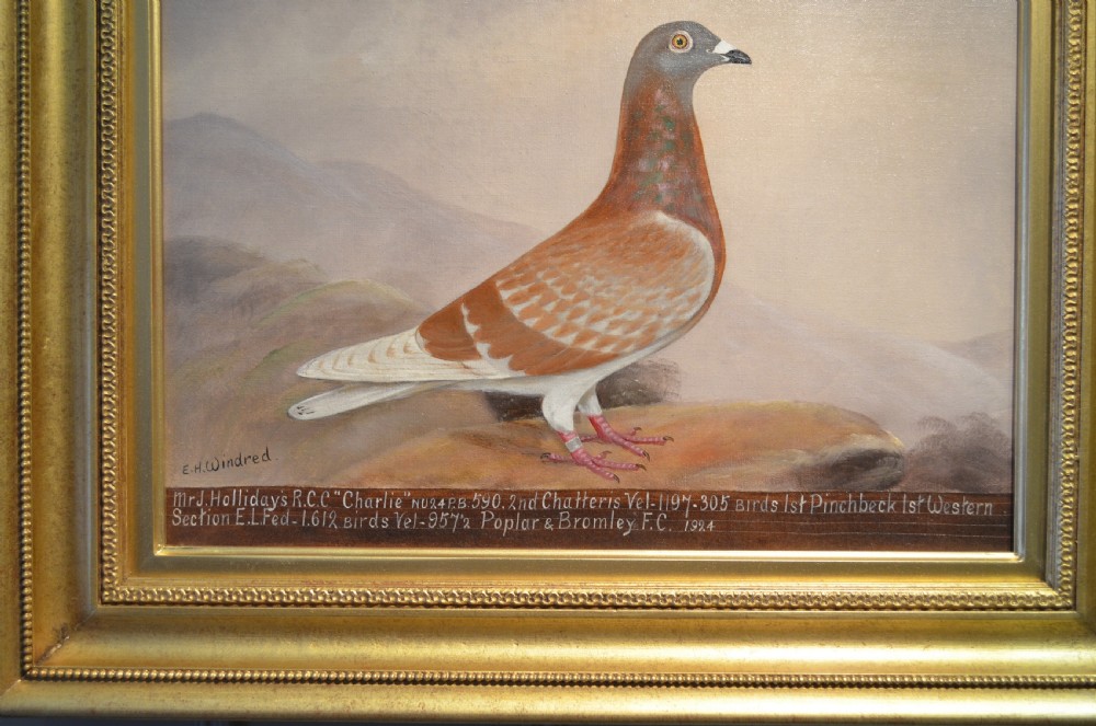 E H Windred - Pigeon Oil Painting View V