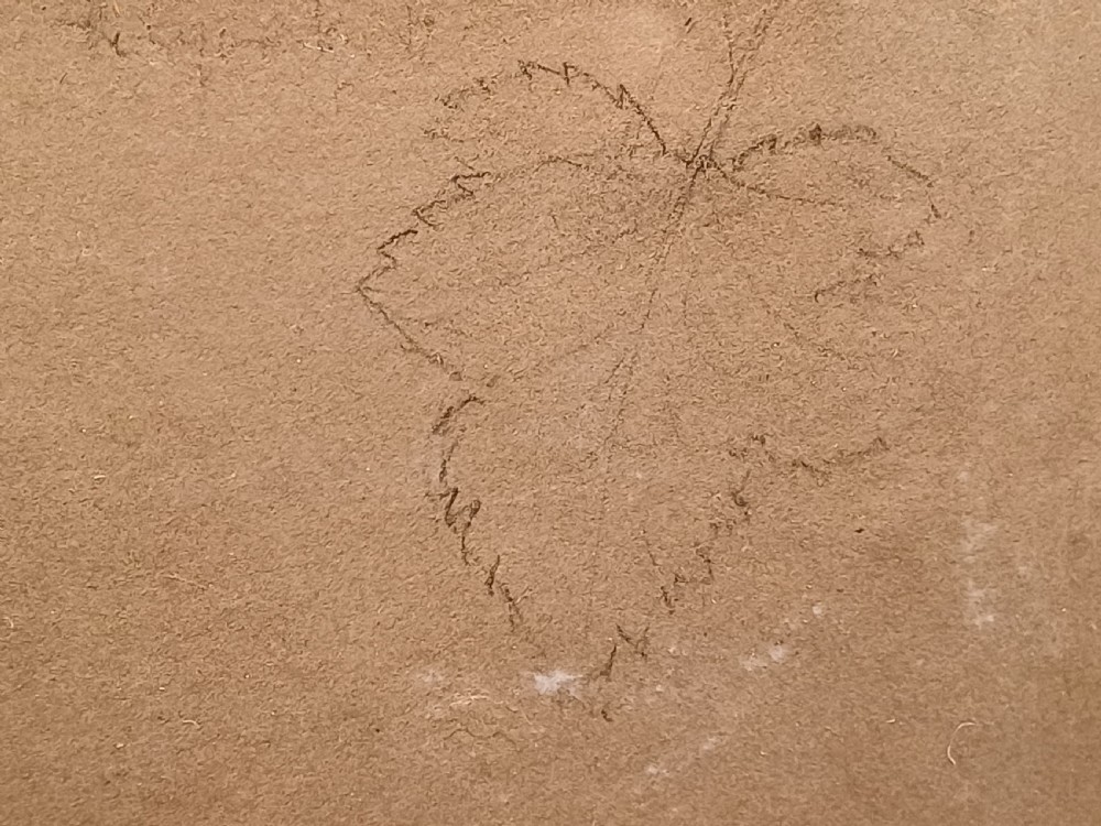 Pencil Drawings on Buff Paper by Edward Lear View XV