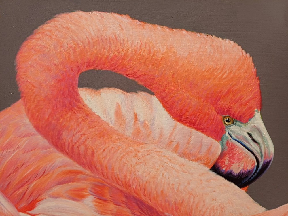 A wide panoramic oil painting on board depicting five pink flamingos in detailed poses against a grey background, encased in a black and gilt wooden frame. View IV