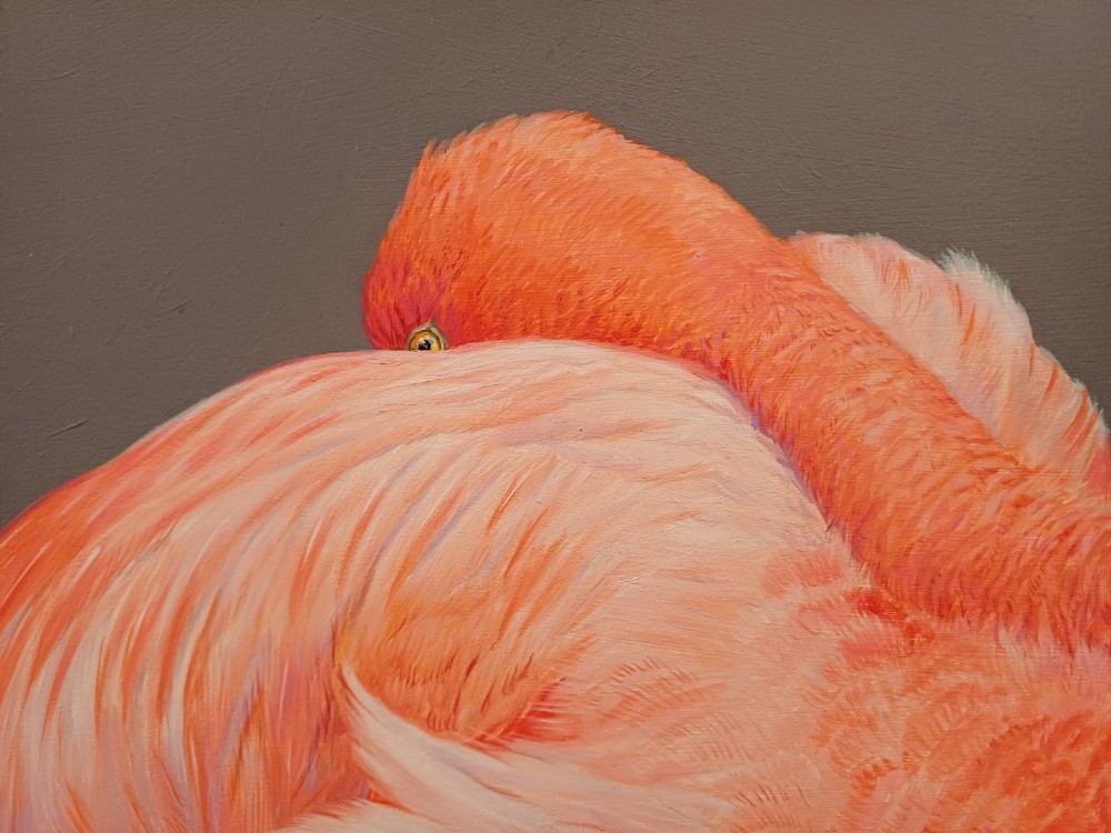 A wide panoramic oil painting on board depicting five pink flamingos in detailed poses against a grey background, encased in a black and gilt wooden frame. View V
