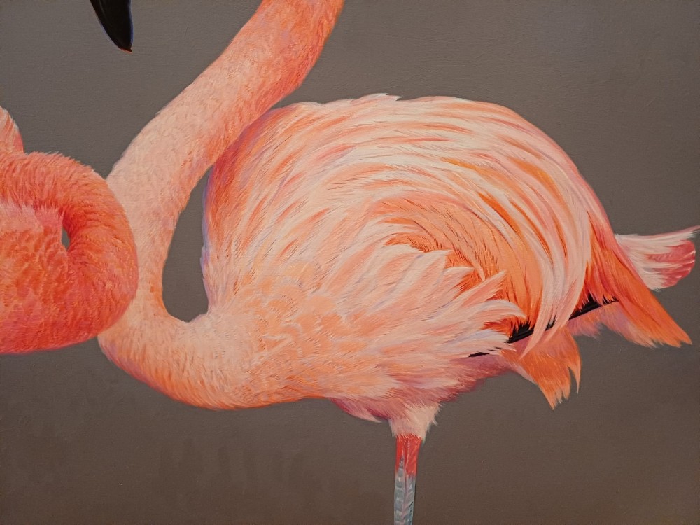A wide panoramic oil painting on board depicting five pink flamingos in detailed poses against a grey background, encased in a black and gilt wooden frame. View VII