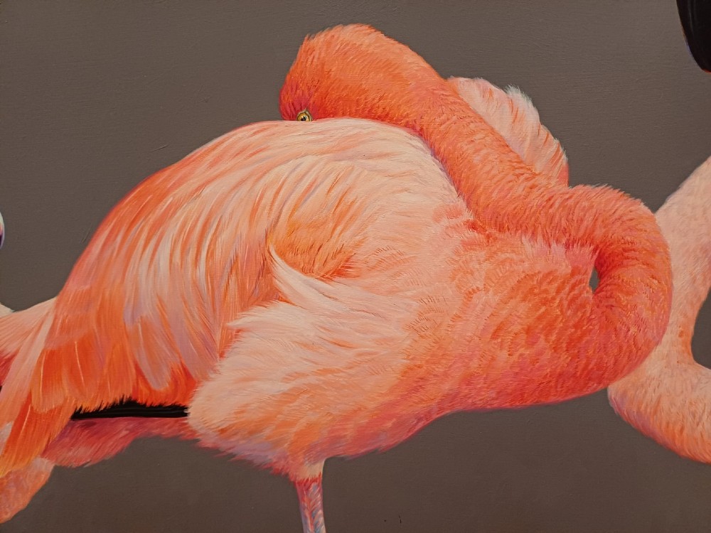 A wide panoramic oil painting on board depicting five pink flamingos in detailed poses against a grey background, encased in a black and gilt wooden frame. View VIII