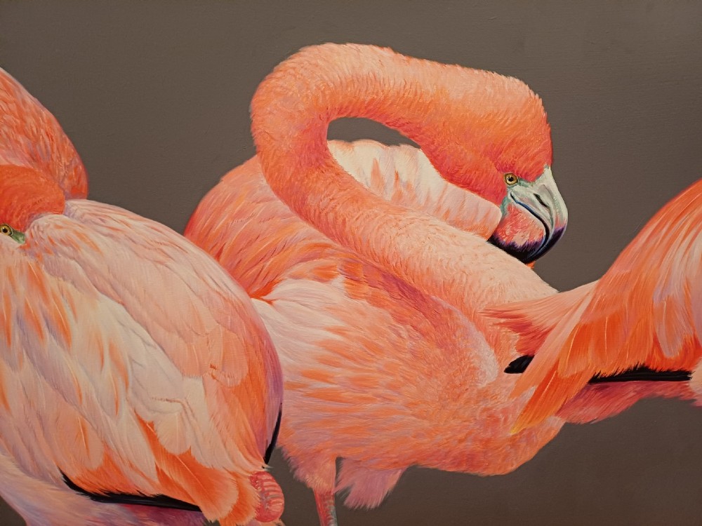 A wide panoramic oil painting on board depicting five pink flamingos in detailed poses against a grey background, encased in a black and gilt wooden frame. View IX