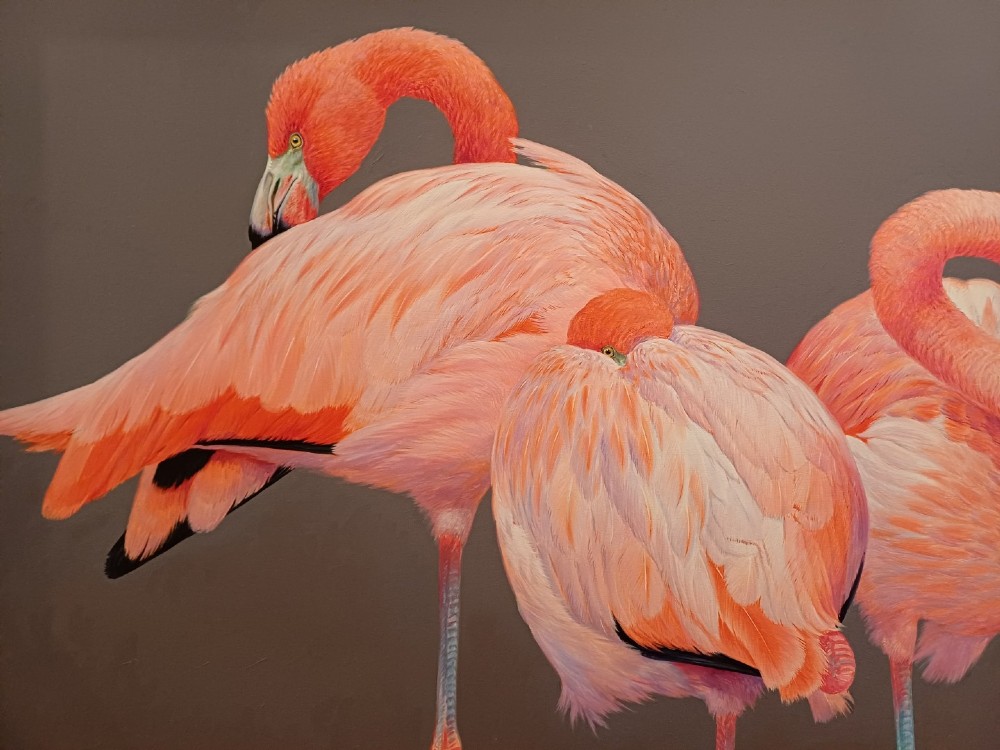 A wide panoramic oil painting on board depicting five pink flamingos in detailed poses against a grey background, encased in a black and gilt wooden frame. View X