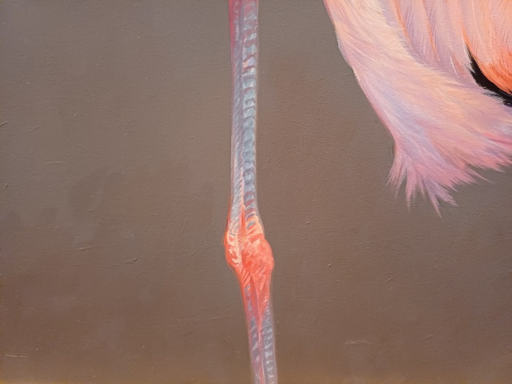 A wide panoramic oil painting on board depicting five pink flamingos in detailed poses against a grey background, encased in a black and gilt wooden frame. View XIII