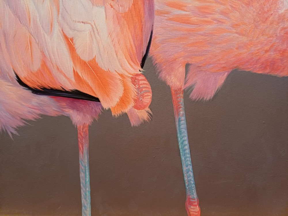 A wide panoramic oil painting on board depicting five pink flamingos in detailed poses against a grey background, encased in a black and gilt wooden frame. View XIV
