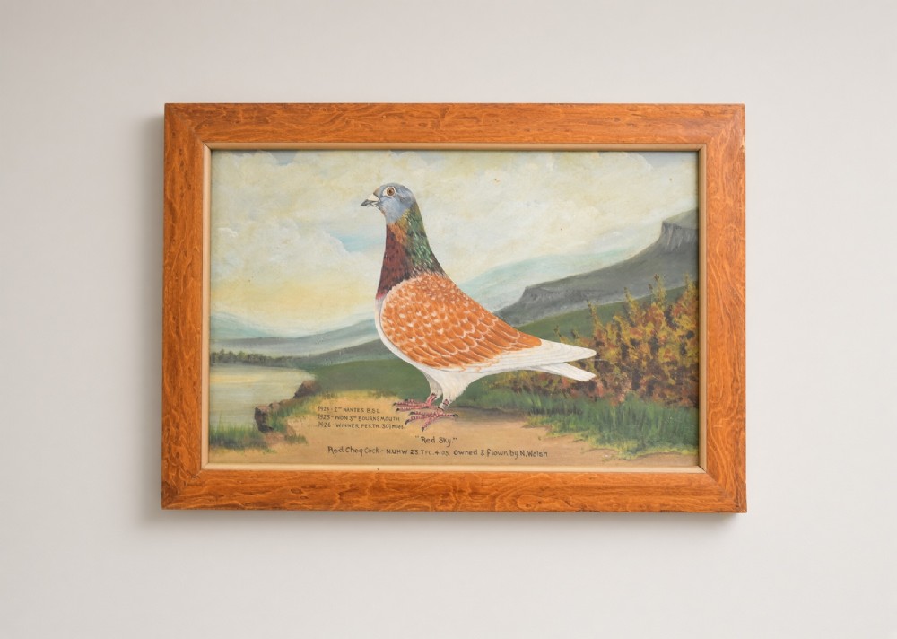 A framed oil painting on canvas depicting a red chequer racing pigeon in profile against a countryside landscape with handwritten race inscriptions.