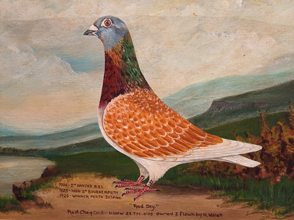 A framed oil painting on canvas depicting a red chequer racing pigeon in profile against a countryside landscape with handwritten race inscriptions. View III