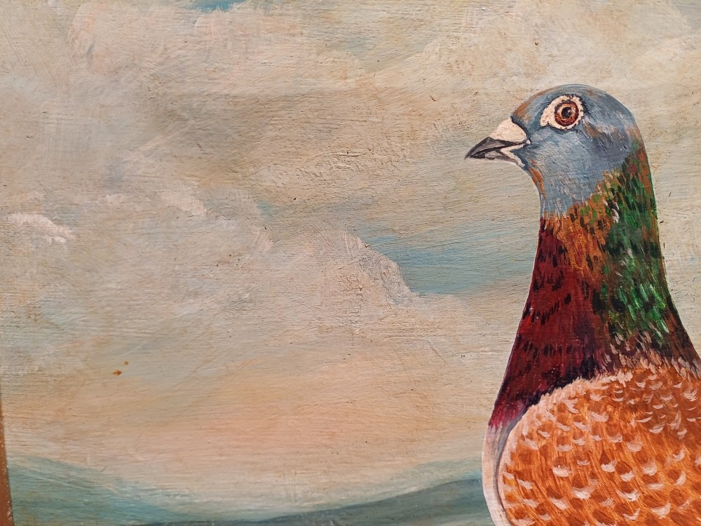 A framed oil painting on canvas depicting a red chequer racing pigeon in profile against a countryside landscape with handwritten race inscriptions. View VI