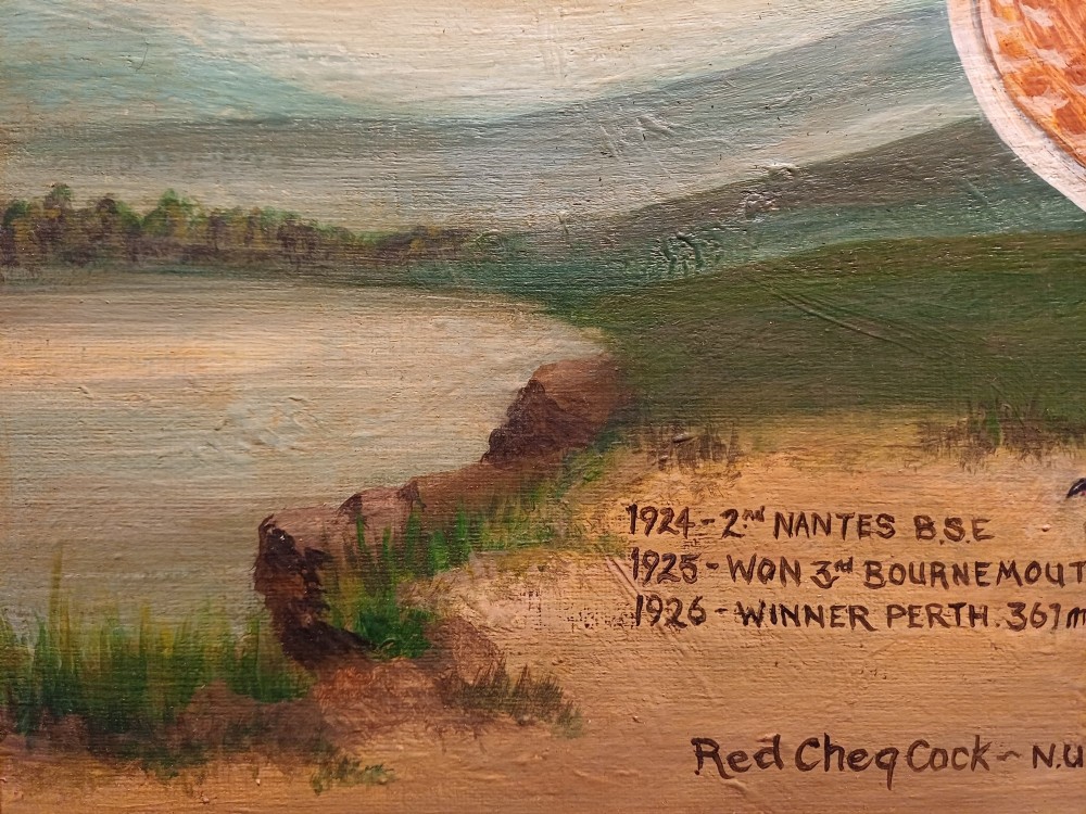A framed oil painting on canvas depicting a red chequer racing pigeon in profile against a countryside landscape with handwritten race inscriptions. View VII
