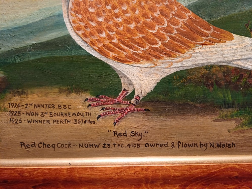 A framed oil painting on canvas depicting a red chequer racing pigeon in profile against a countryside landscape with handwritten race inscriptions. View VIII