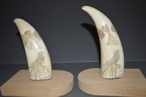 Pair 19th Century Scrimshaw Whale Teeth, C 1840