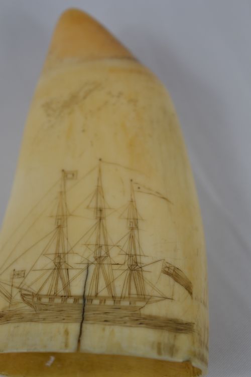 19th Century Whale Tooth Scrimshaw,c1840