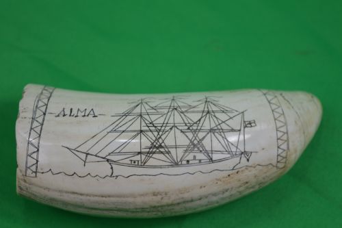 Whale Tooth Scrimshaw Signed / Dated 1875