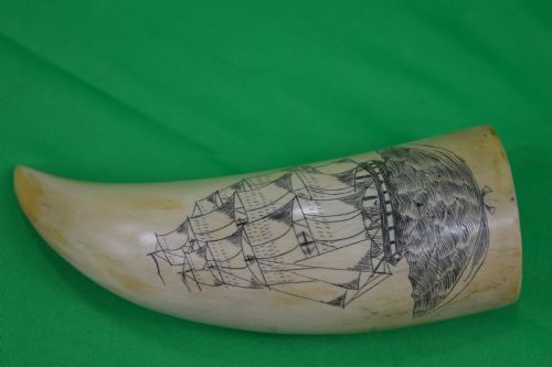 Large Whale Tooth Scrimshaw Dated 1850