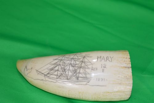 Large Whale Tooth Scrimshaw, Dated 1891, Whaling Scene