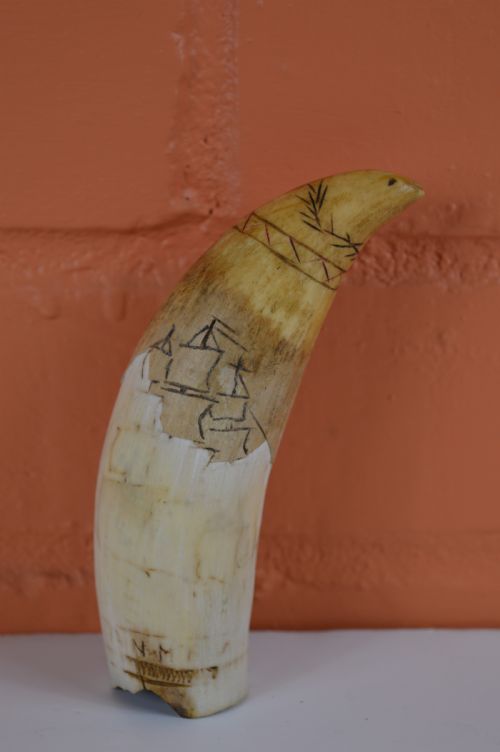 Early 19th Century Whale Tooth Scrimshaw, C1800