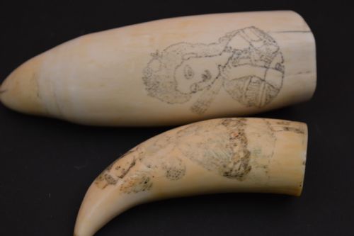 fig 1. Pair Scrimshaw Whale Teeth, Bonham's Provenance, c1880