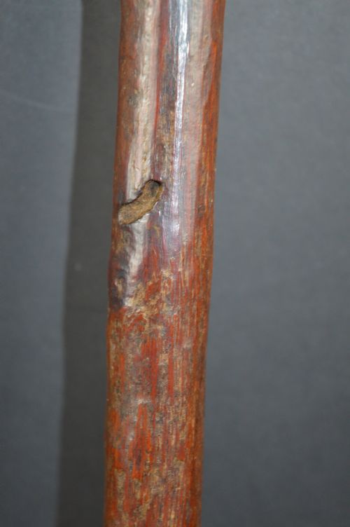 OCEANIC THROWING CLUB SOLOMON ISLANDS C 1890 - ADDITIONAL PHOTO 2