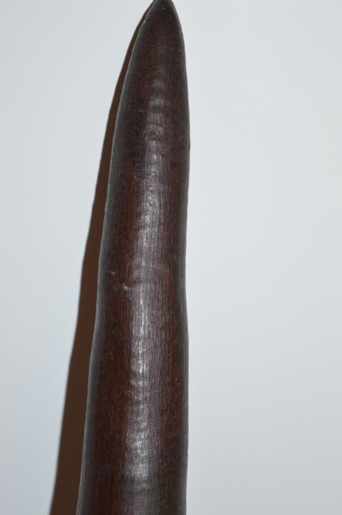 AUSTRALIAN ABORIGINAL NULLA THROWING CLUB C1890 - ADDITIONAL PHOTO 2